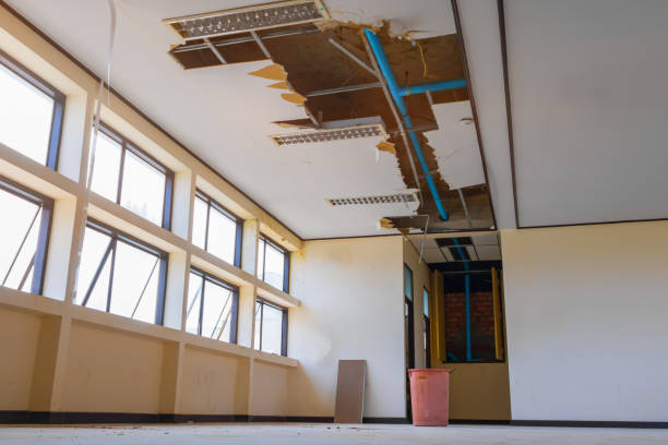 Best Flood restoration services  in Harlan, IA