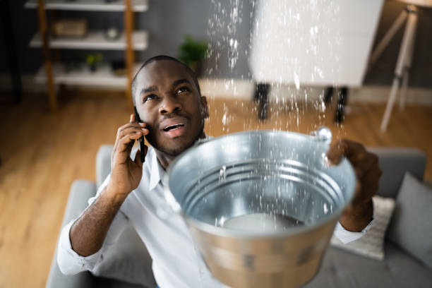Best Water damage restoration near me  in Harlan, IA