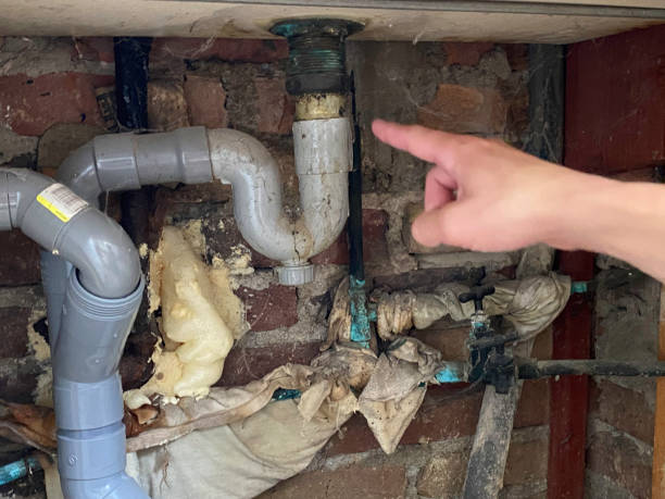 Best Ceiling water damage repair  in Harlan, IA
