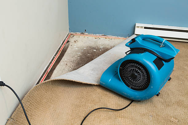 Best Water damage restoration cost  in Harlan, IA