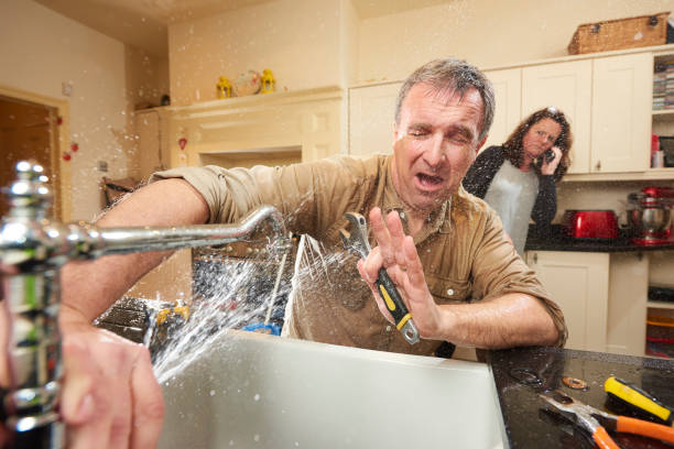 Best Residential water damage restoration  in Harlan, IA